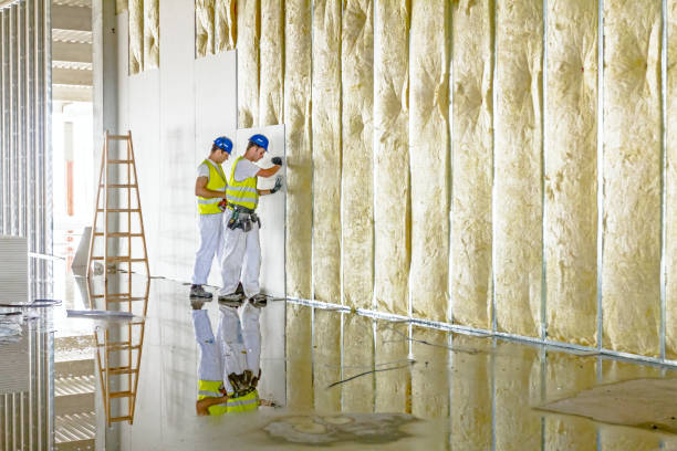 Best Commercial Insulation in Waterford, CA